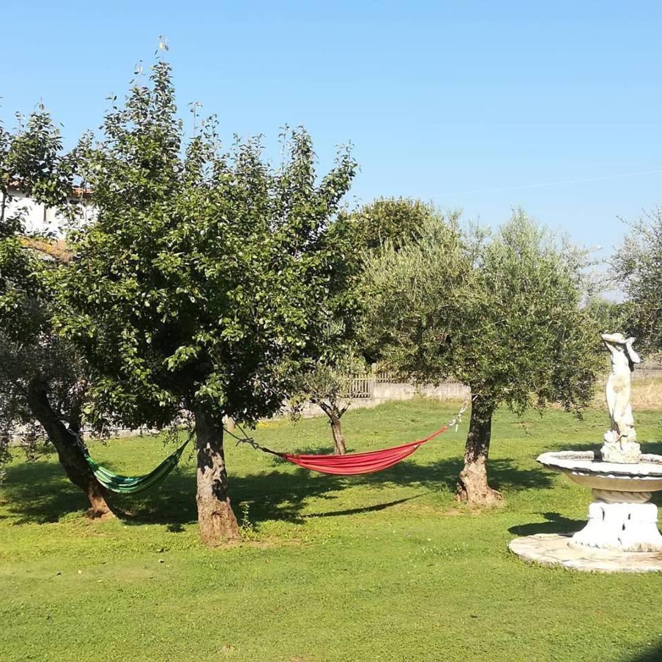 Agriturismo La Palazza サーラ・コンシリーナ エクステリア 写真